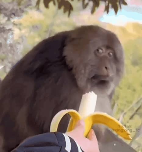 recommendation image