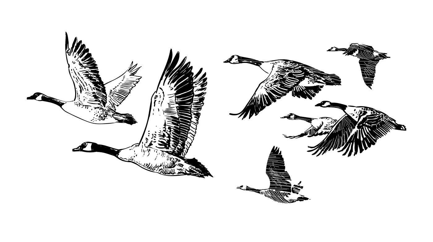 recommendation image