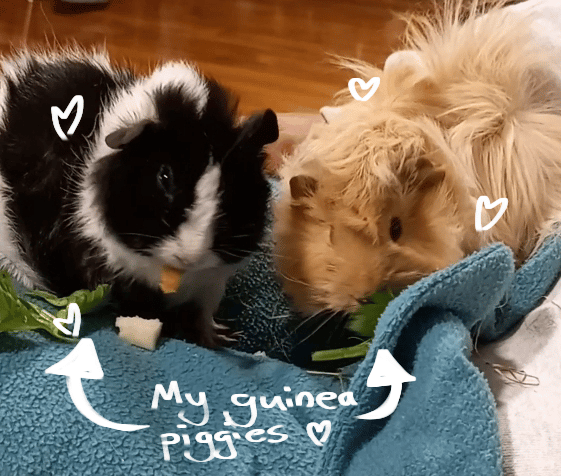 recommendation image
