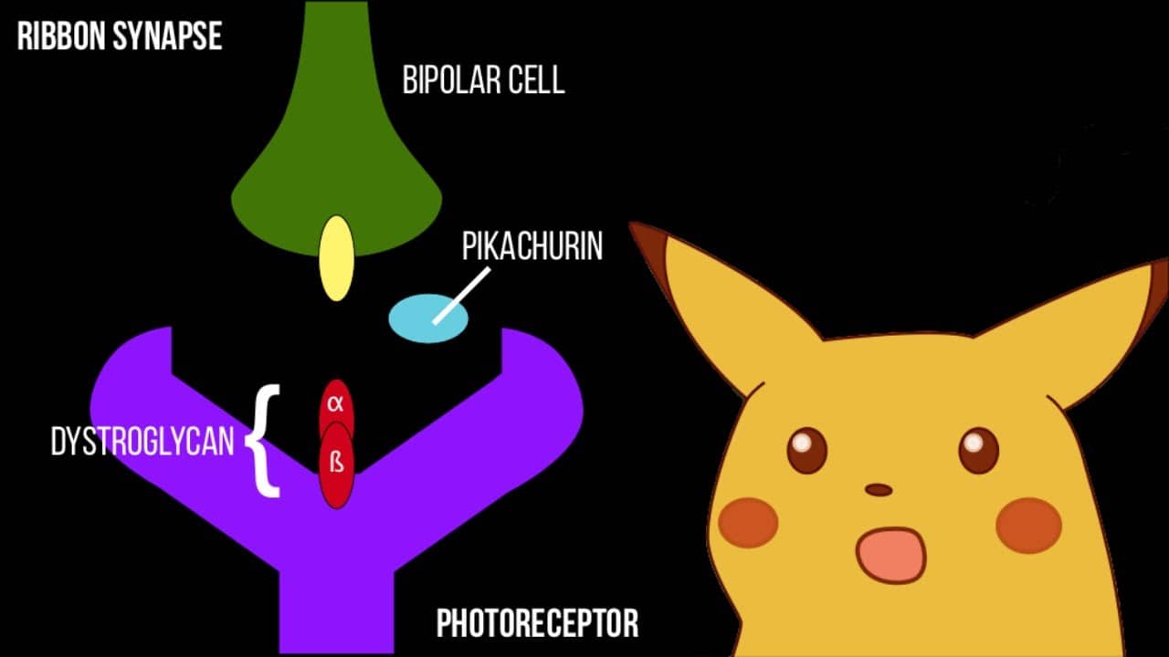 recommendation image