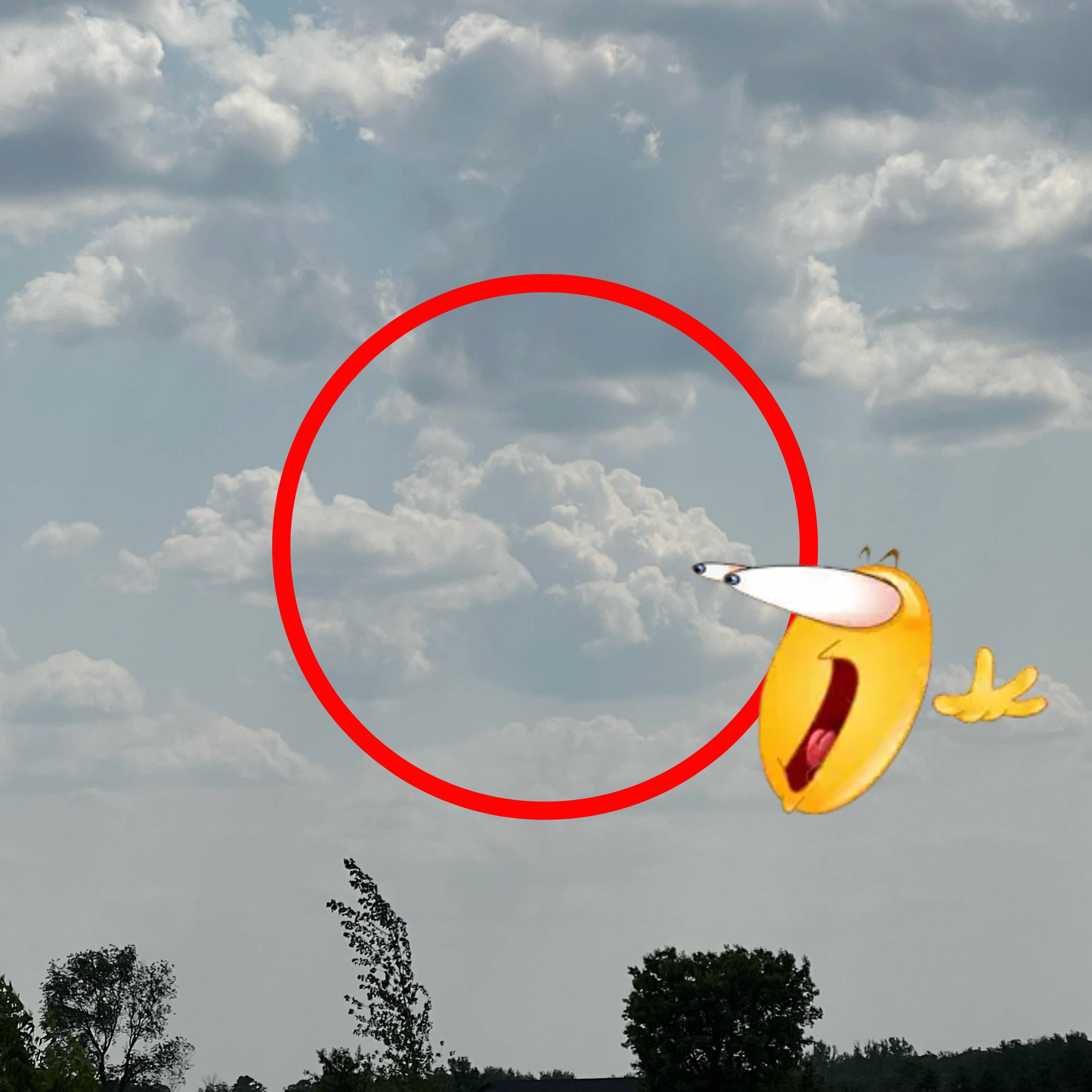 recommendation image