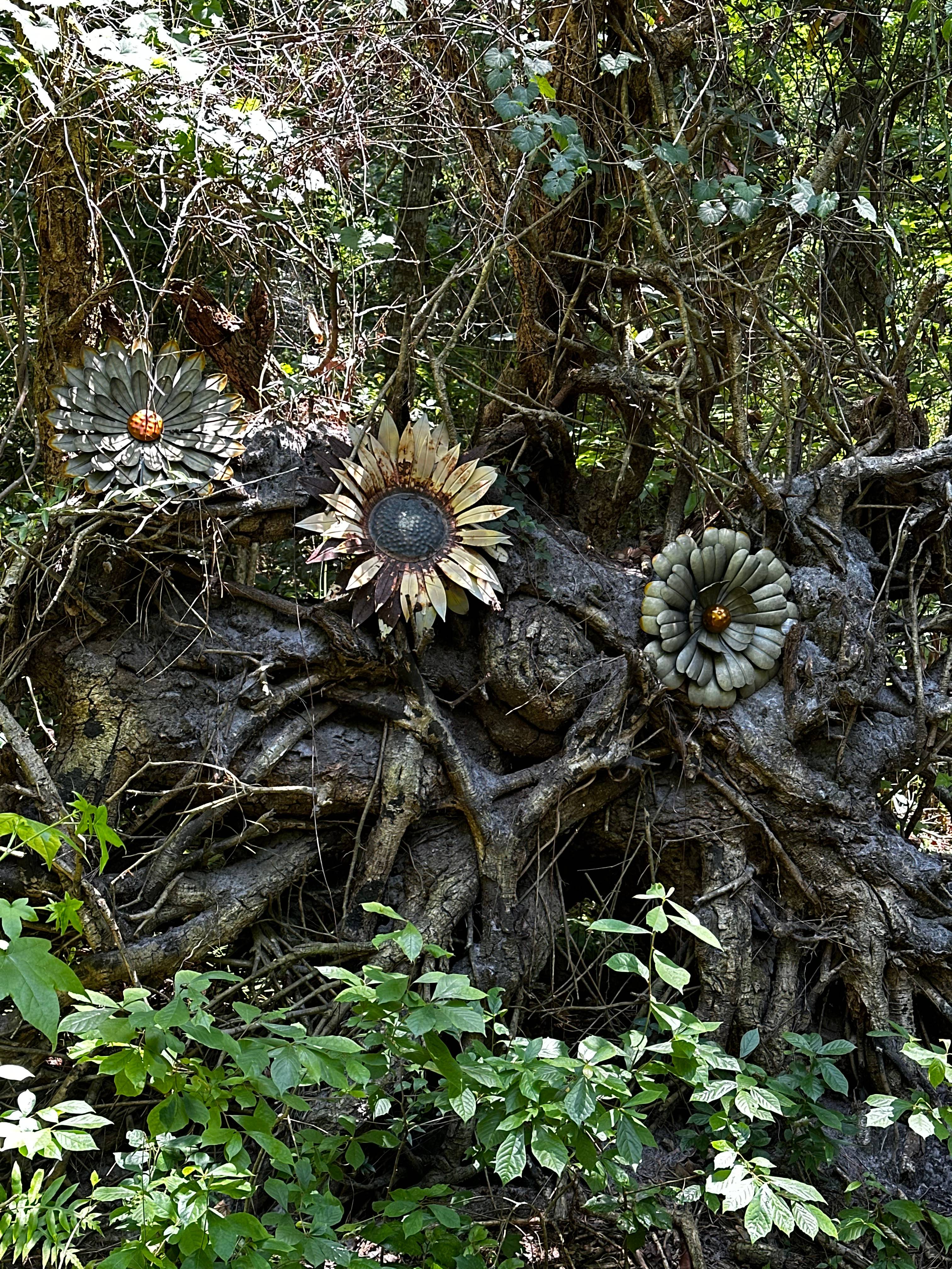 recommendation image