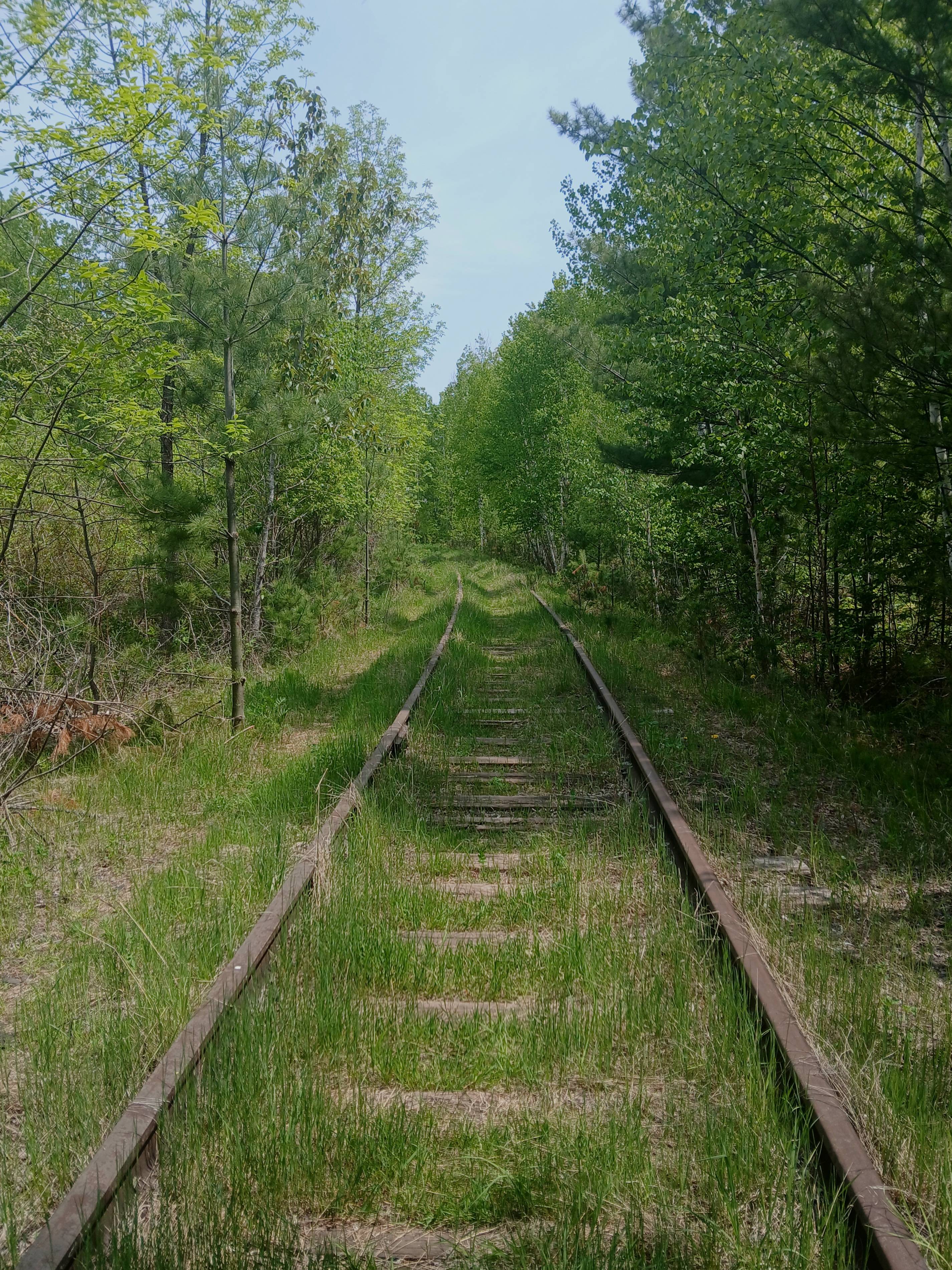 recommendation image