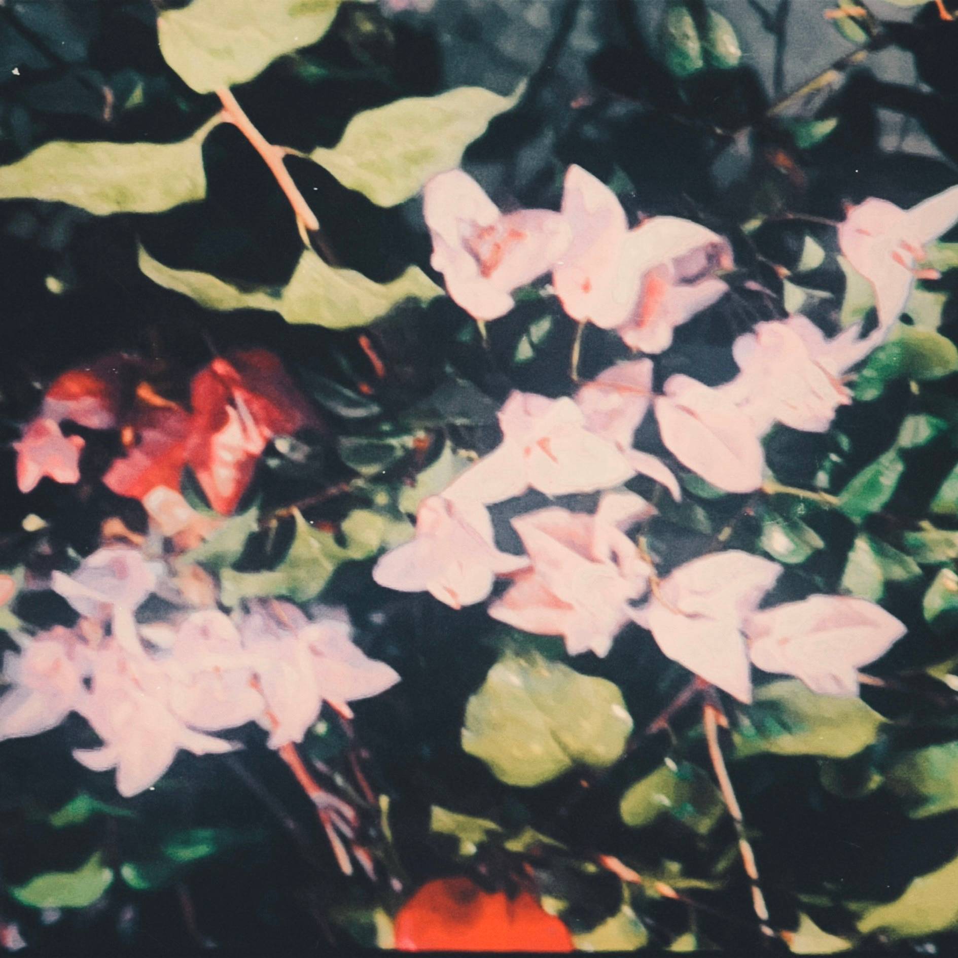 recommendation image