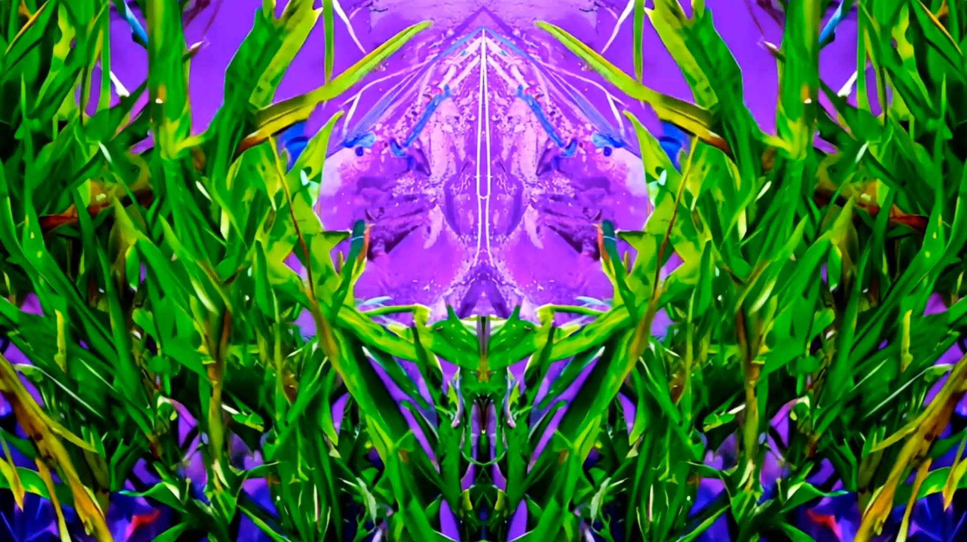 recommendation image