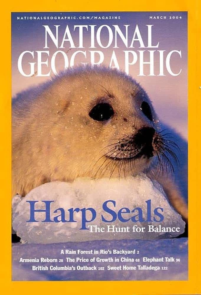 recommendation image