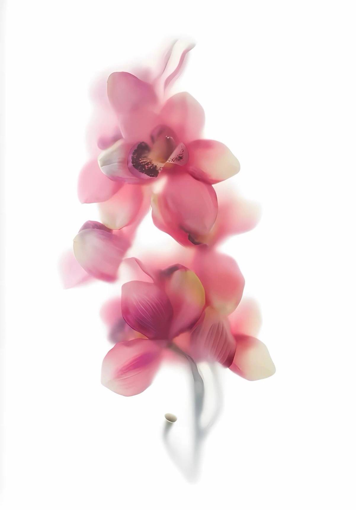 recommendation image