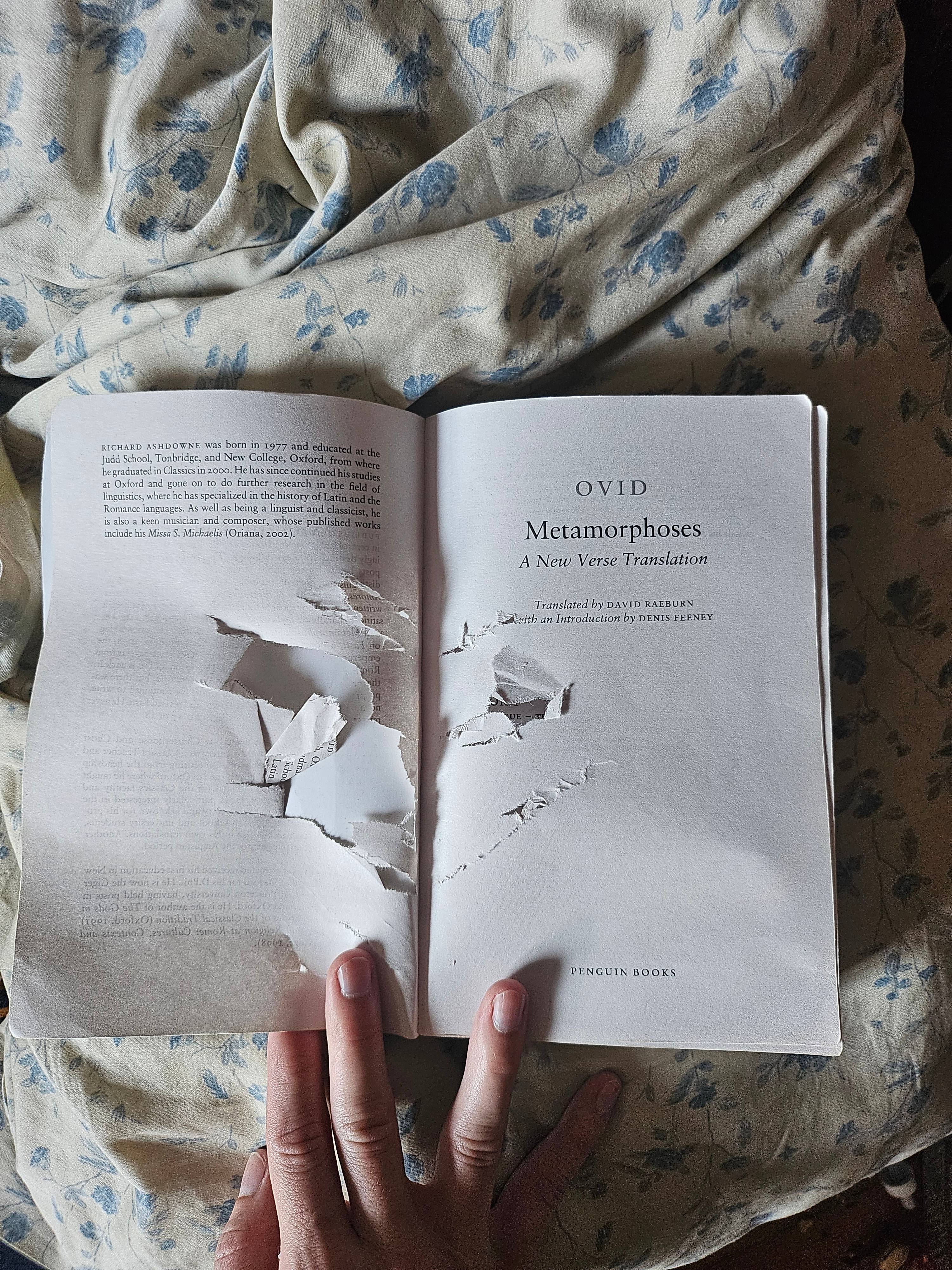 recommendation image