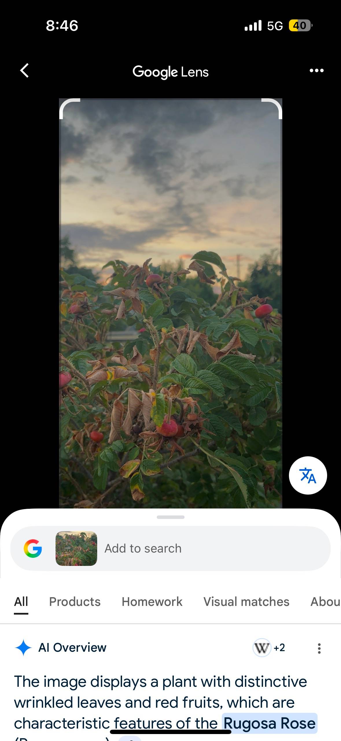 recommendation image