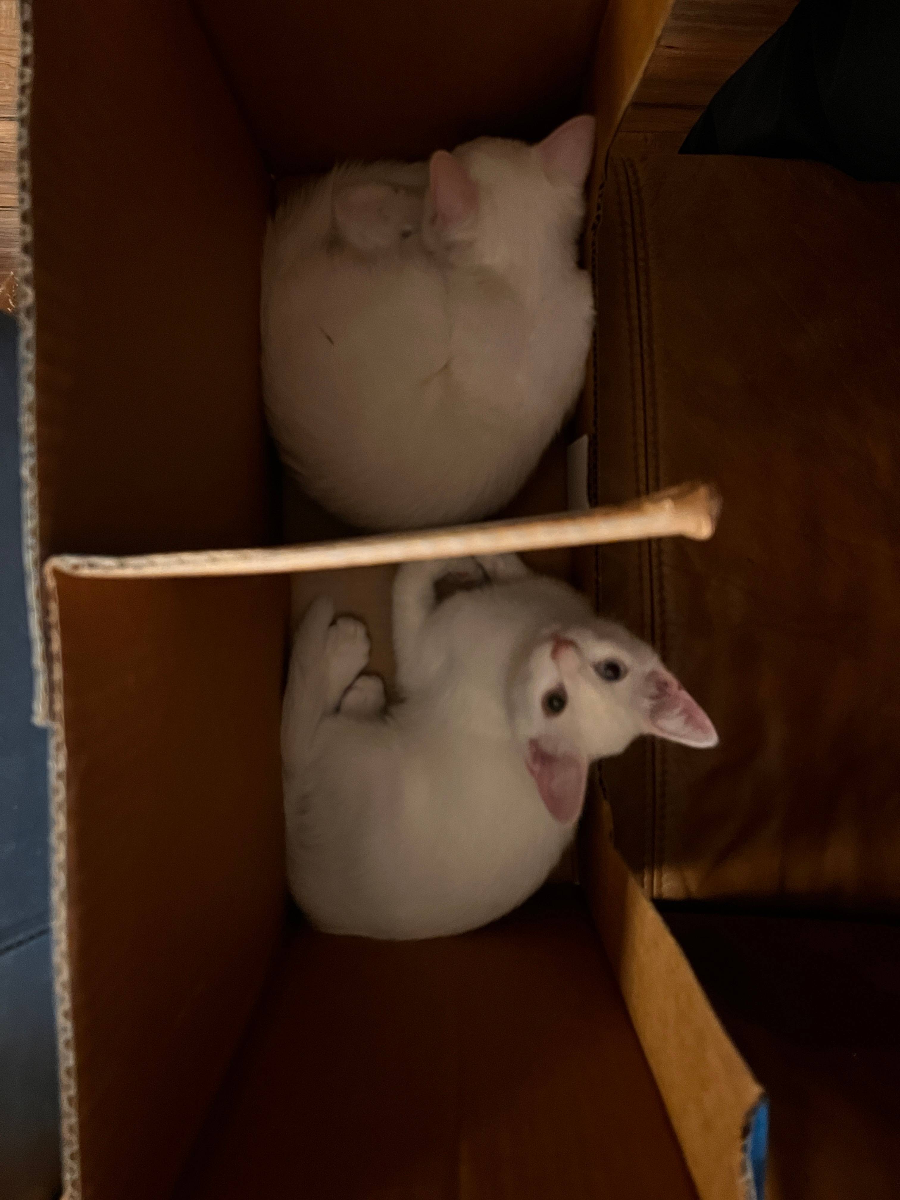 recommendation image