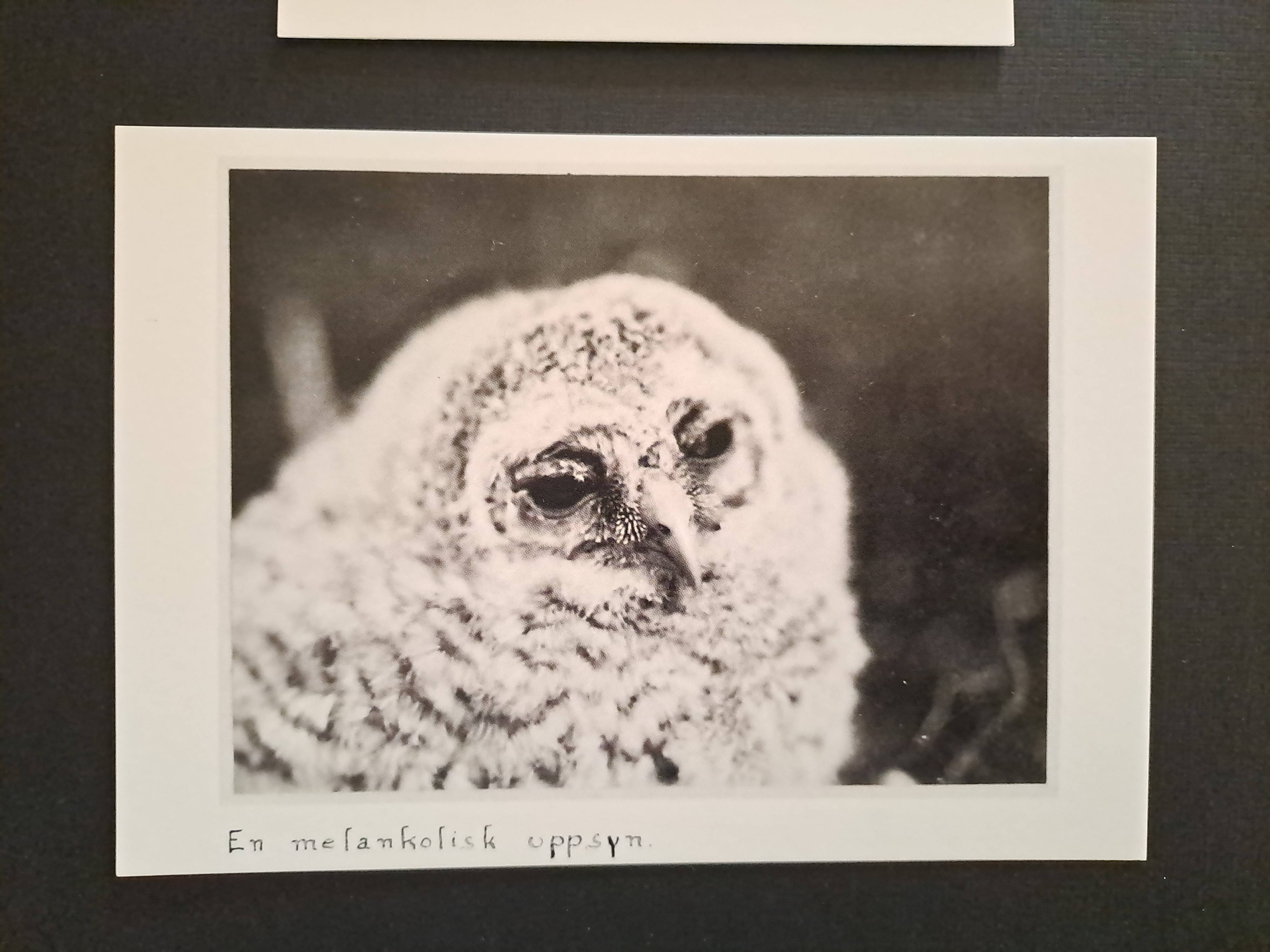 recommendation image