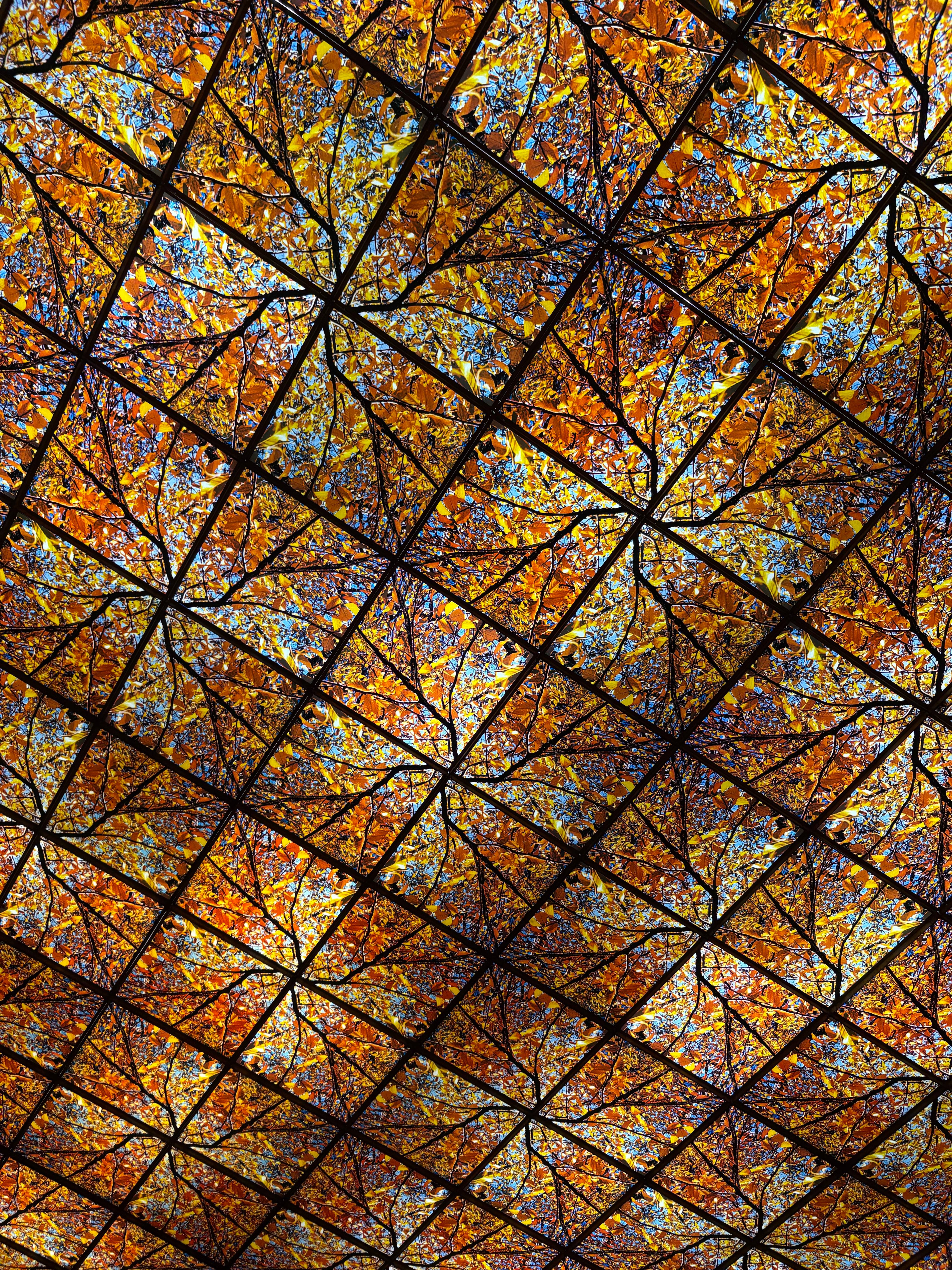 recommendation image