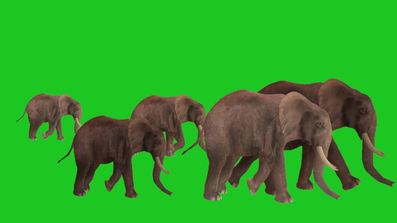 recommendation image