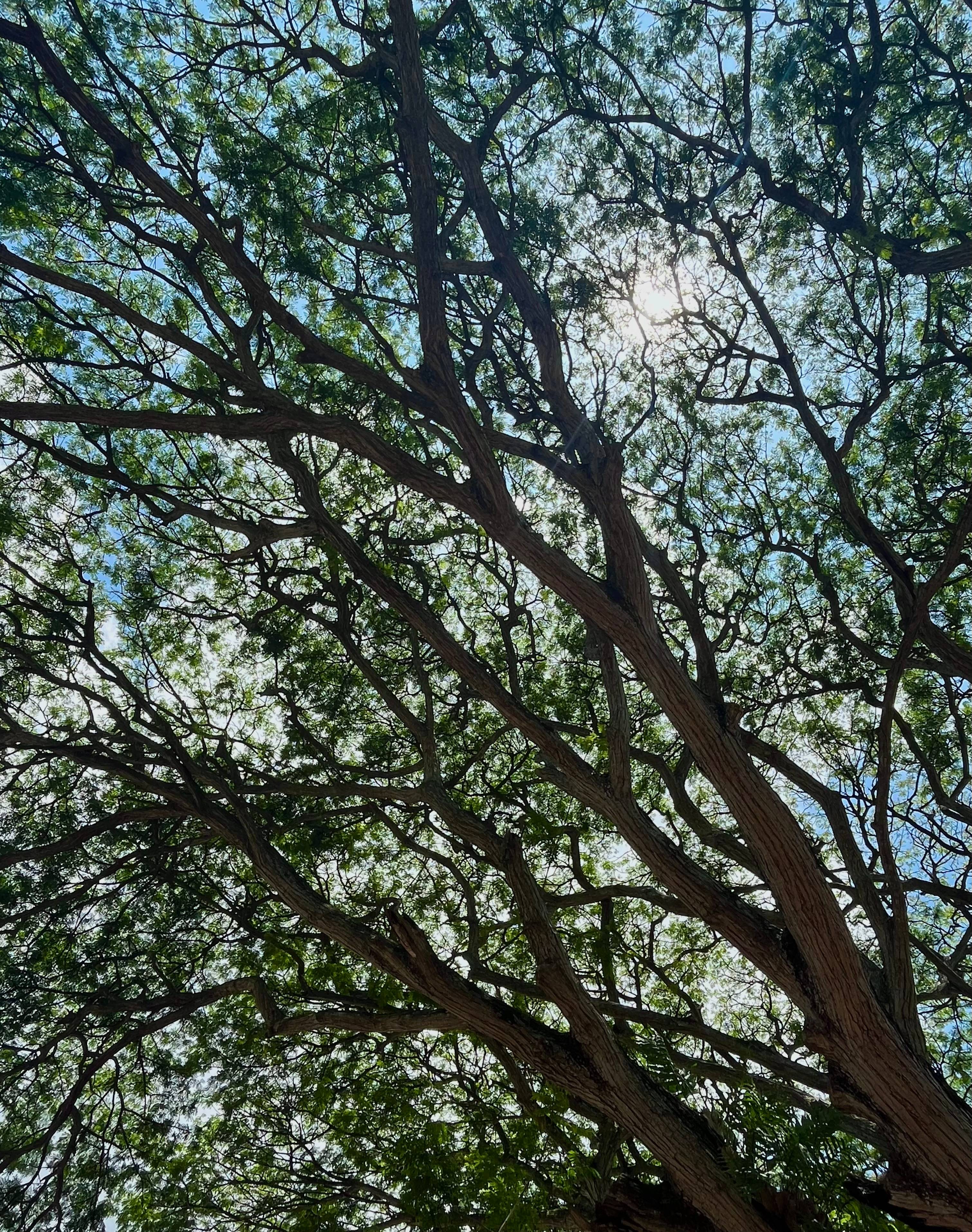 recommendation image