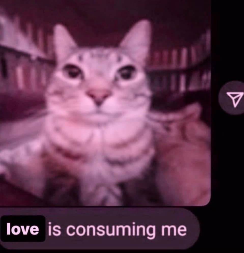 recommendation image