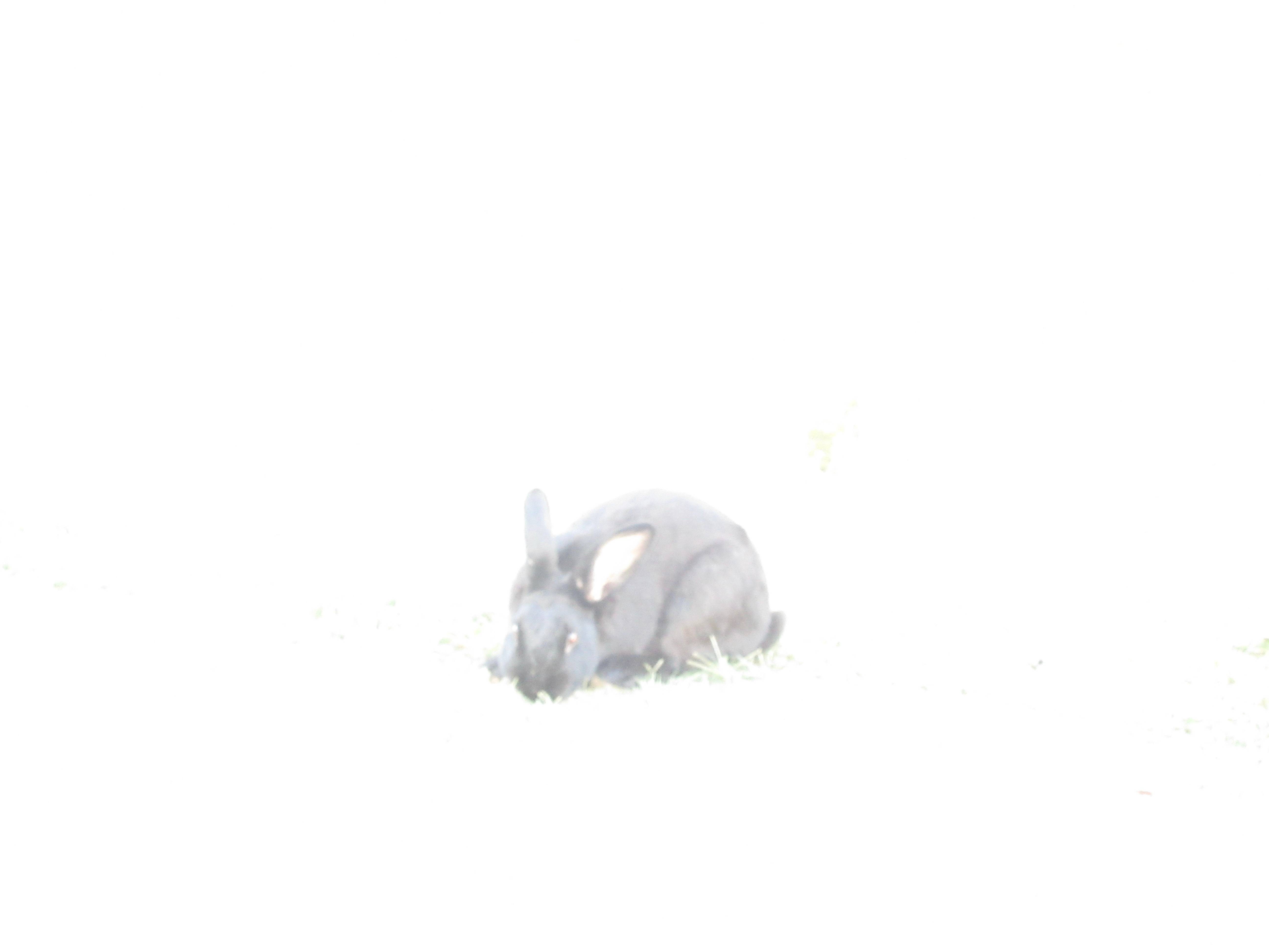 recommendation image