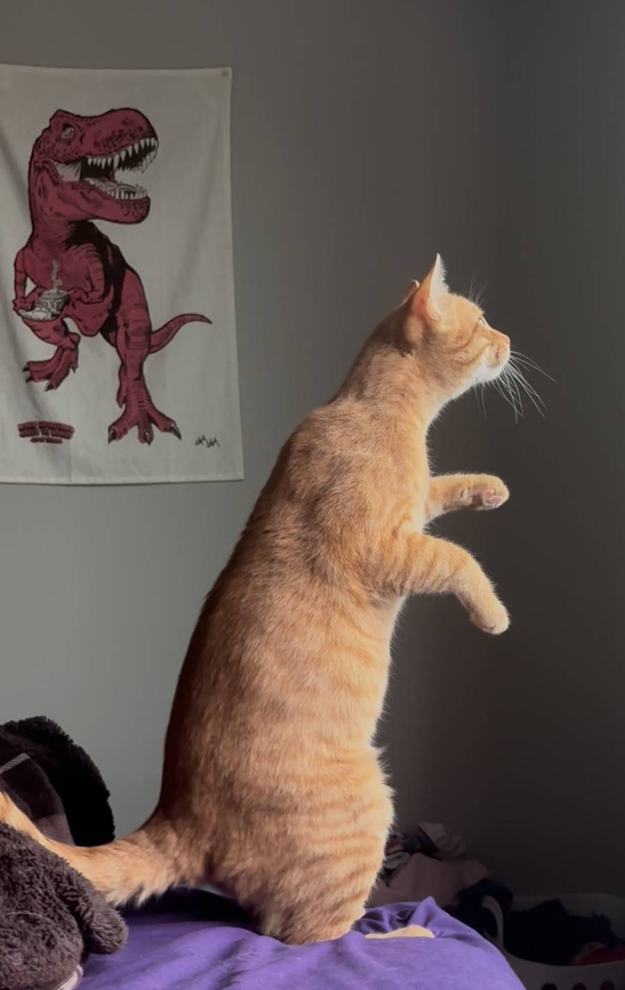 recommendation image