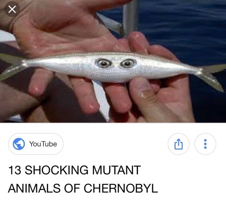 recommendation image