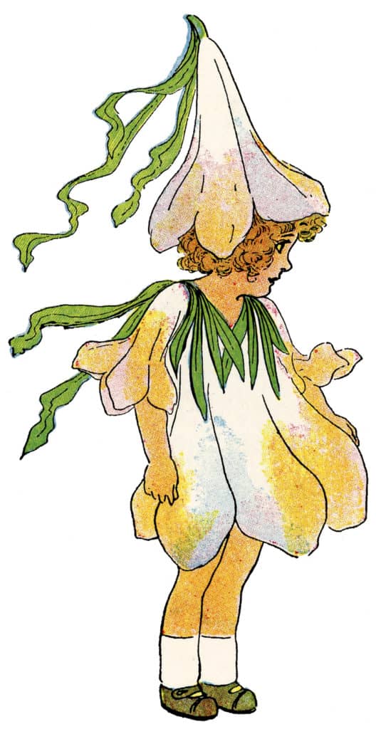 recommendation image