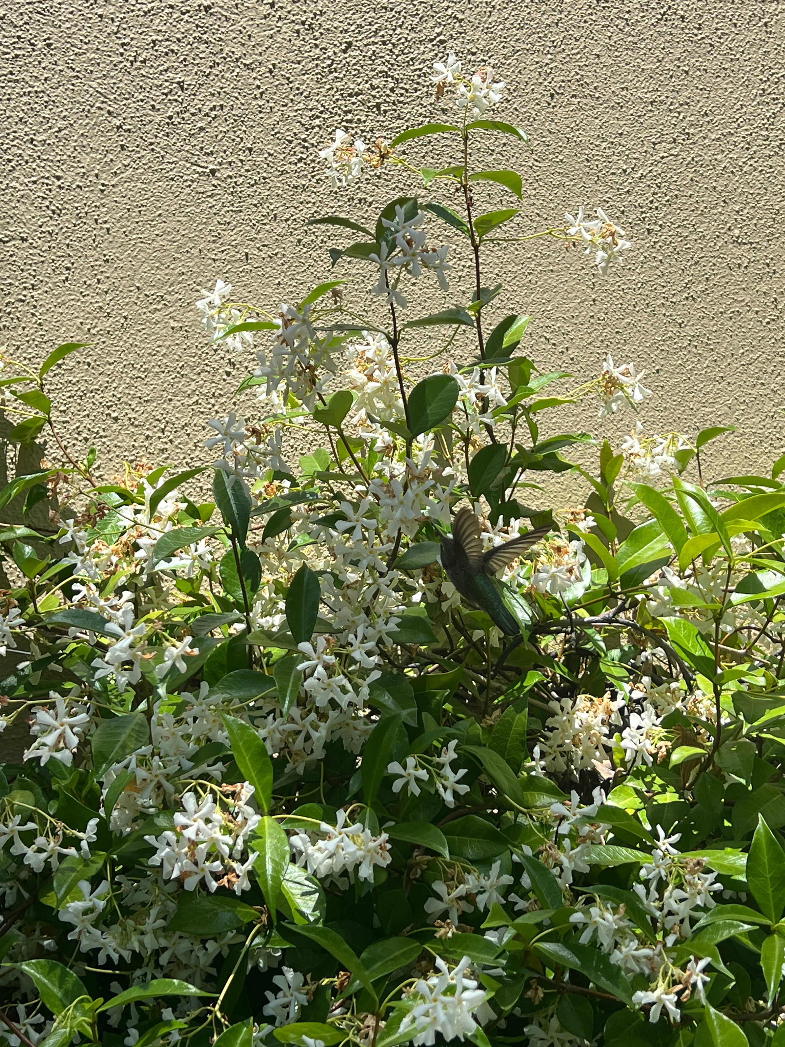 recommendation image