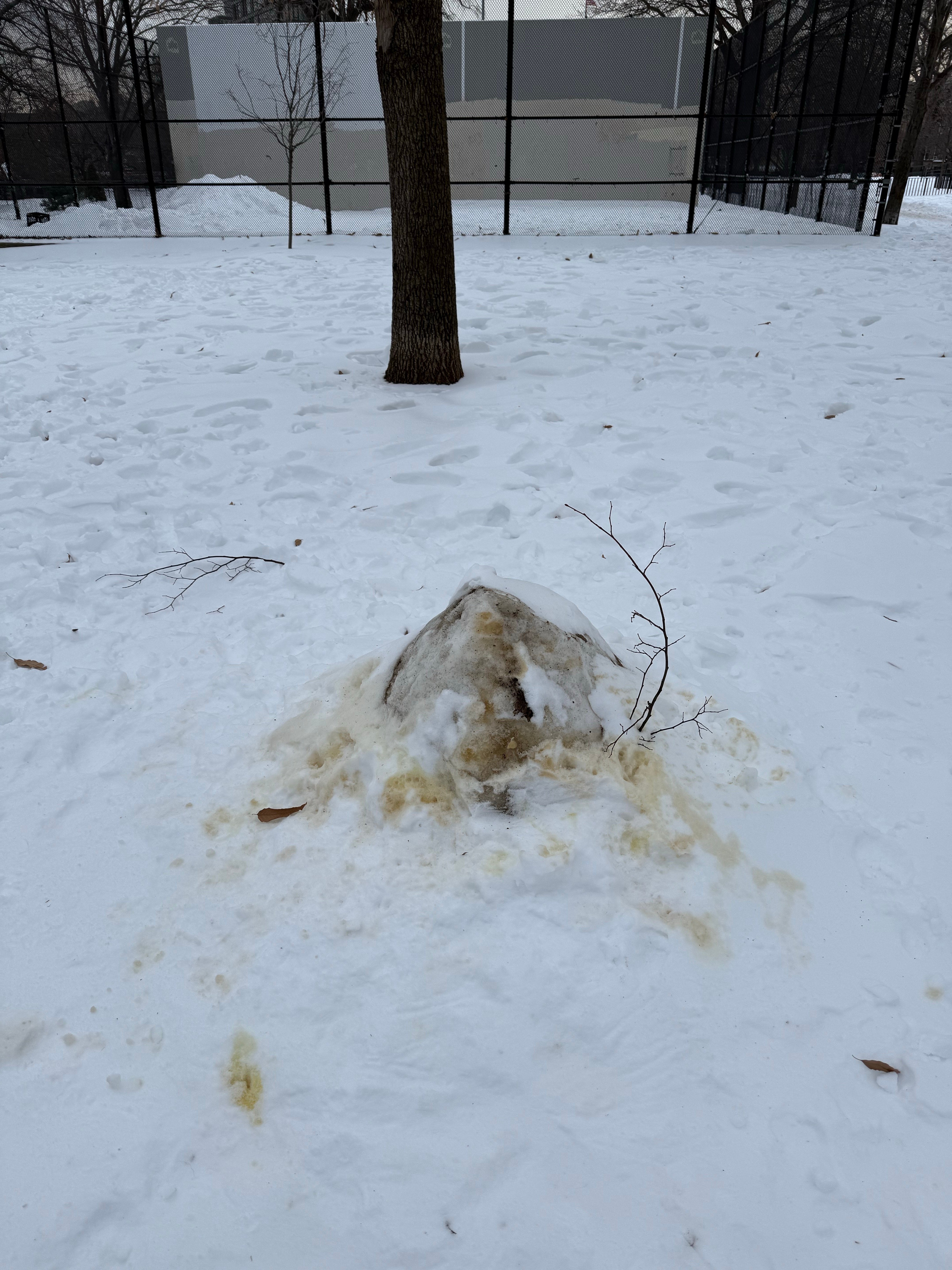 Rec | KAOMOJI ٩(ˊᗜˋ*)و ♡