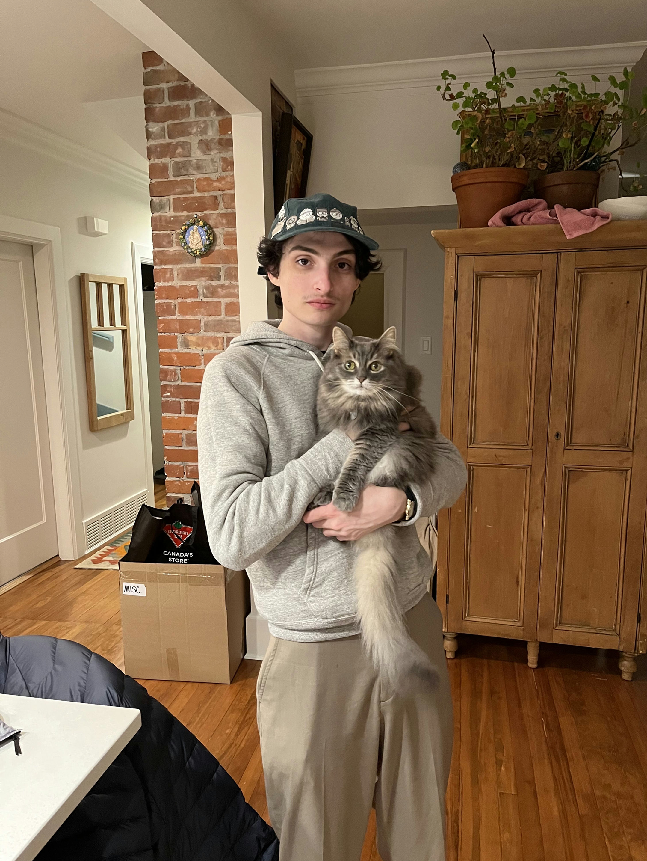 FINN WOLFHARD