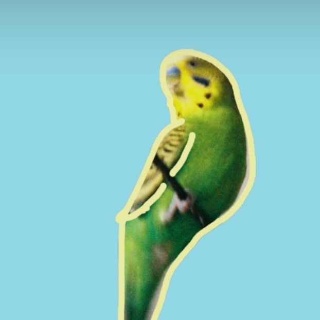 PiFyi banner for @bedbug