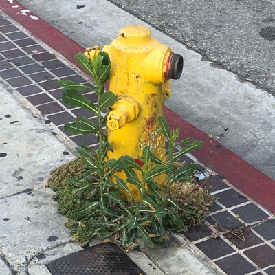 PiFyi profile picture for @kb