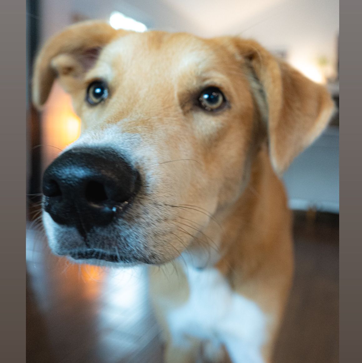 PiFyi profile picture for @hector