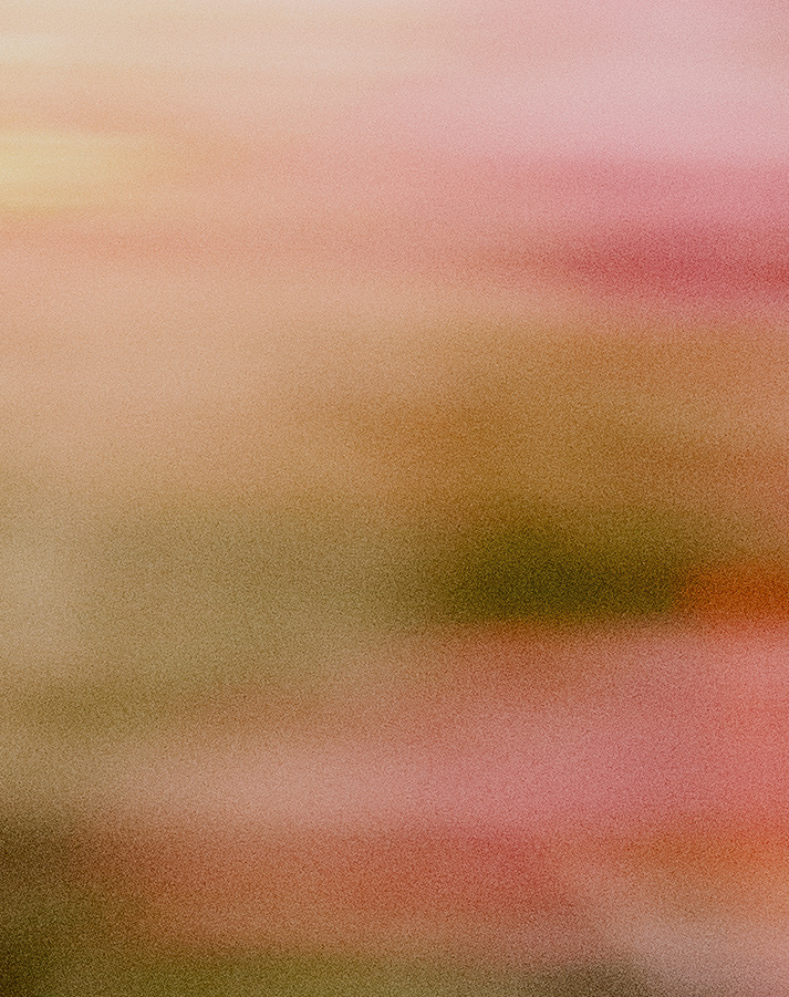 PiFyi banner for @haven