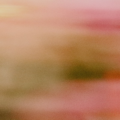 PiFyi profile picture for @haven