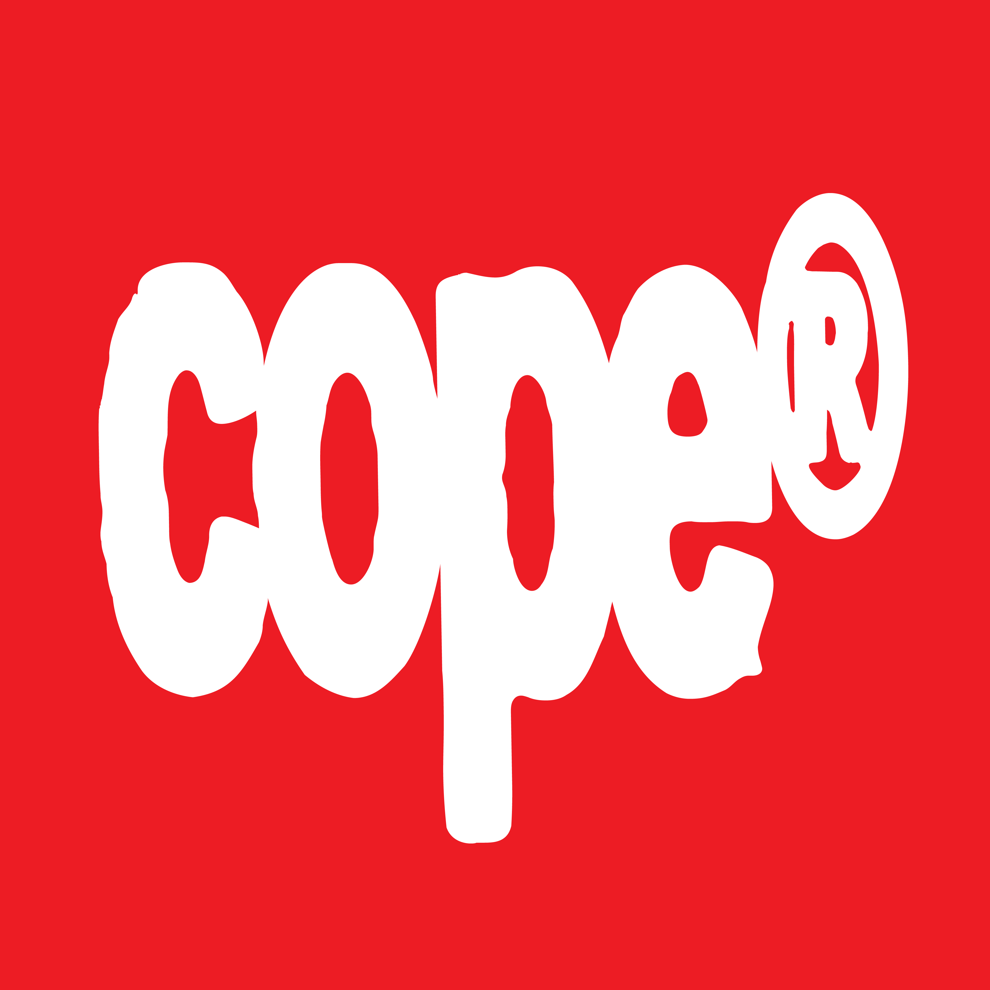 PiFyi banner for @cope