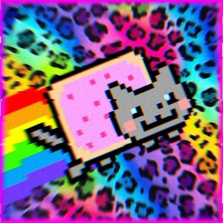 PiFyi profile picture for @uni