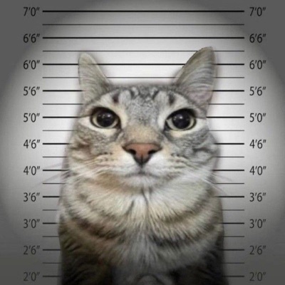 PiFyi profile picture for @dawson