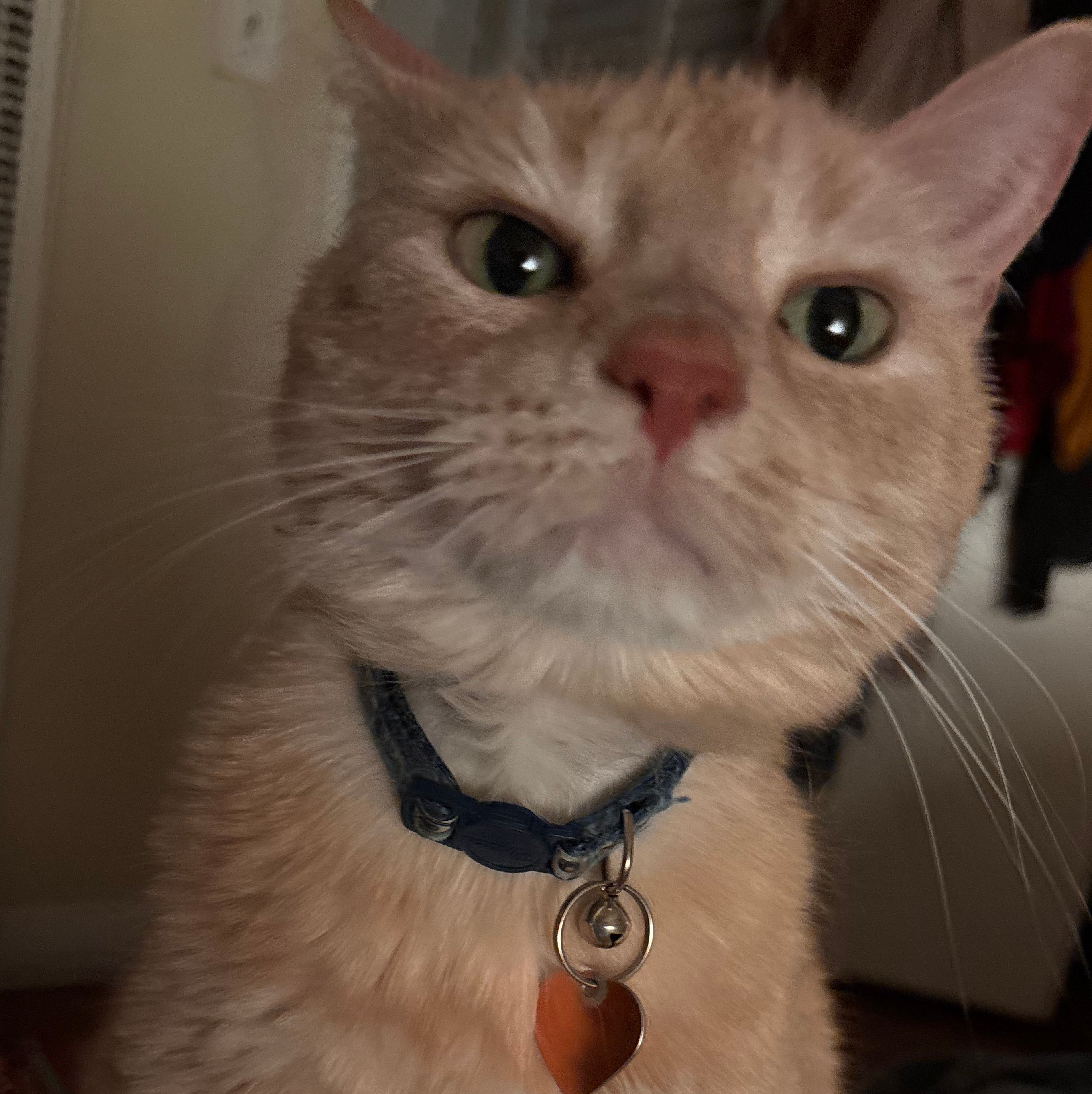 PiFyi profile picture for @jrick