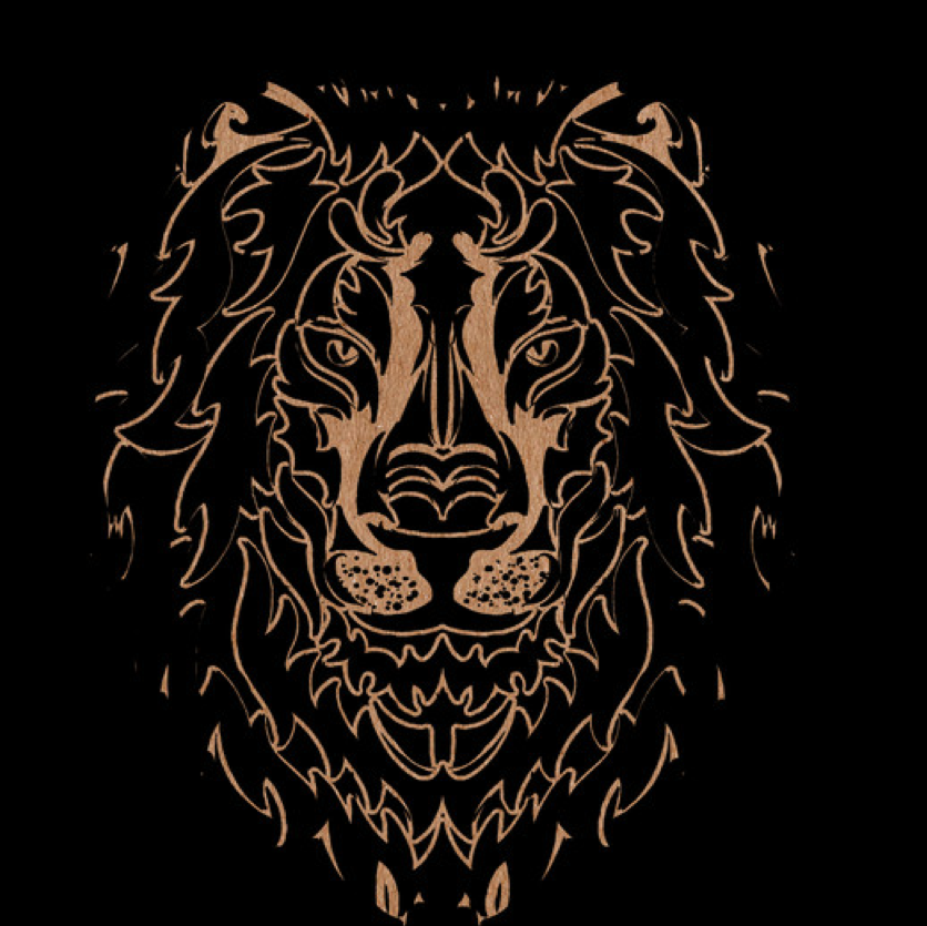 PiFyi profile picture for @salt