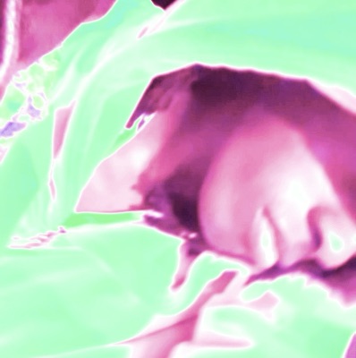 PiFyi profile picture for @hate