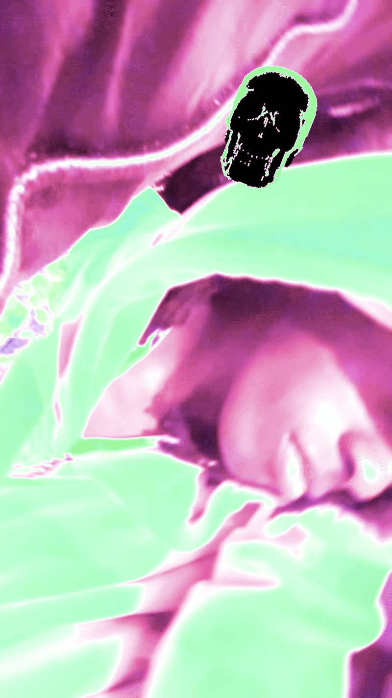 PiFyi banner for @hate