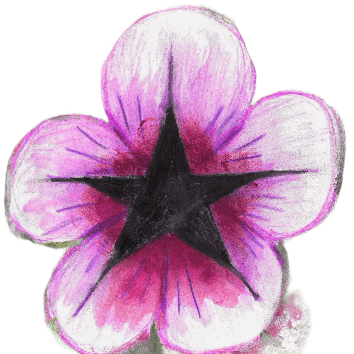PiFyi profile picture for @ita