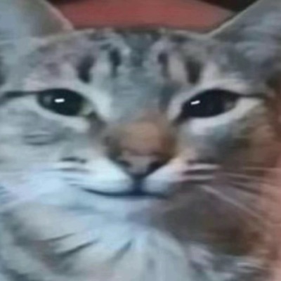 PiFyi profile picture for @squiggle