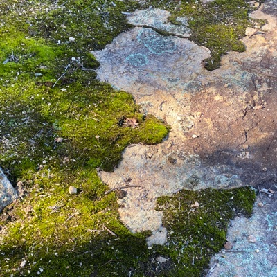 PiFyi profile picture for @clr