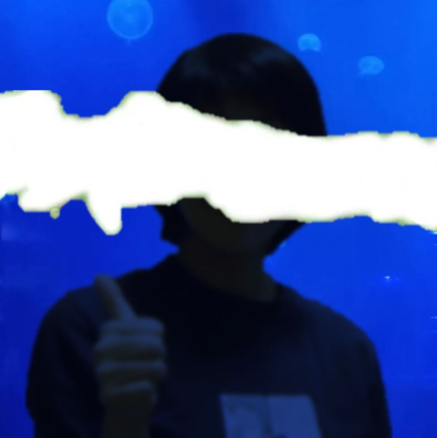 PiFyi profile picture for @lame