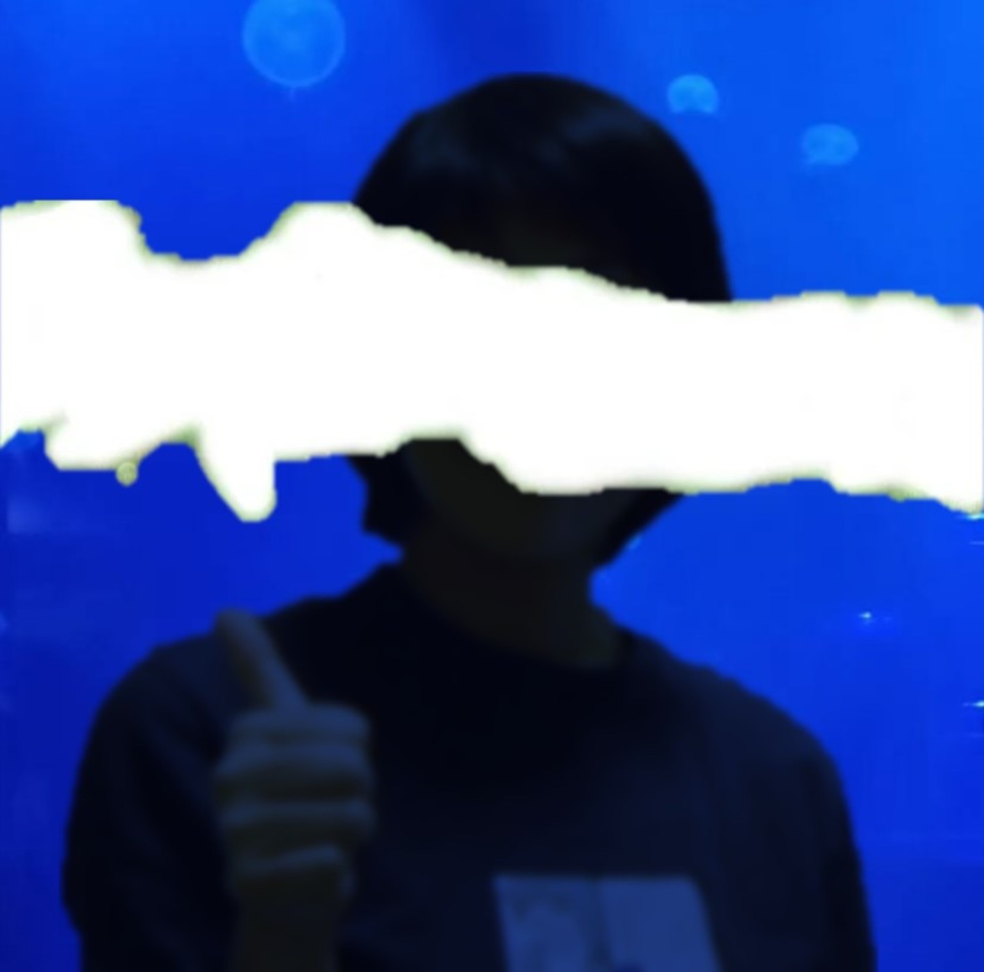 PiFyi banner for @lame