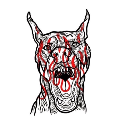 PiFyi profile picture for @zap