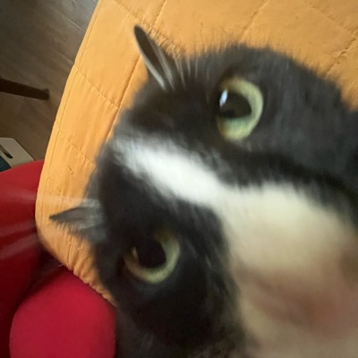 PiFyi profile picture for @rudy