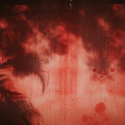 PiFyi profile picture for @photograph