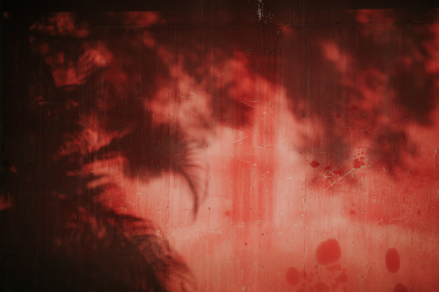 PiFyi banner for @photograph