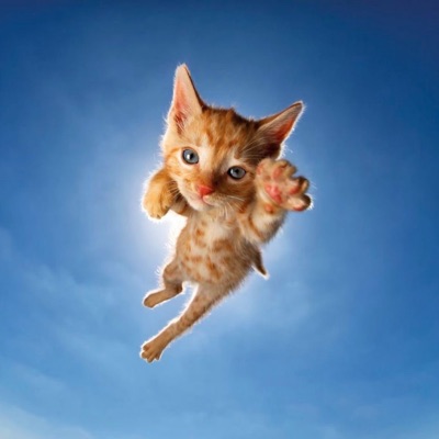 PiFyi profile picture for @fly