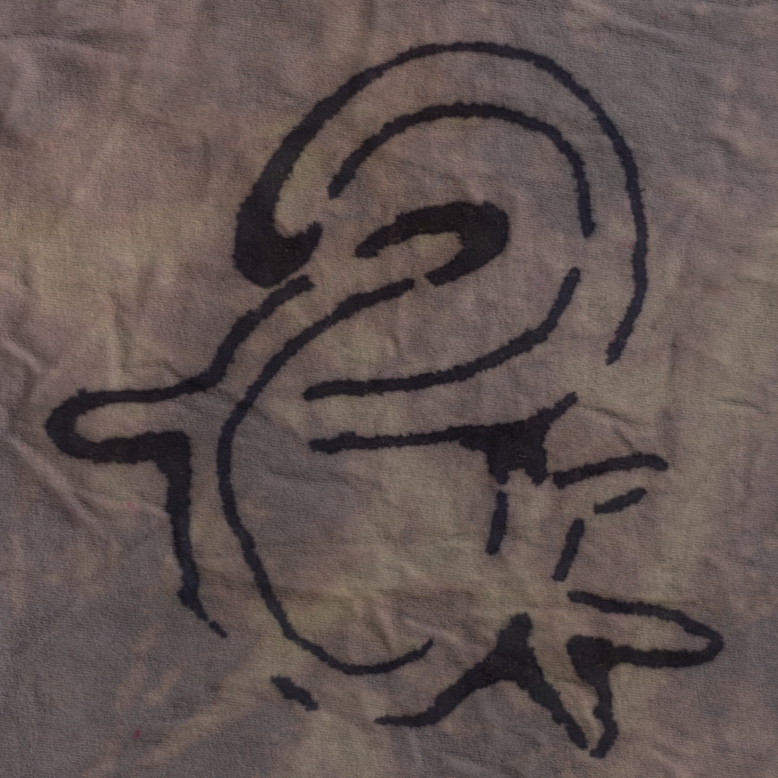 PiFyi profile picture for @transient