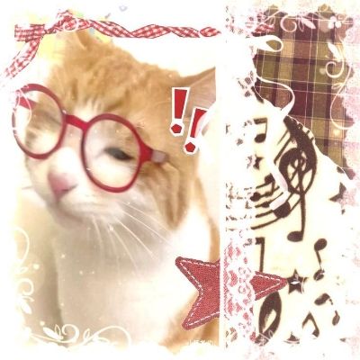 PiFyi profile picture for @clarion